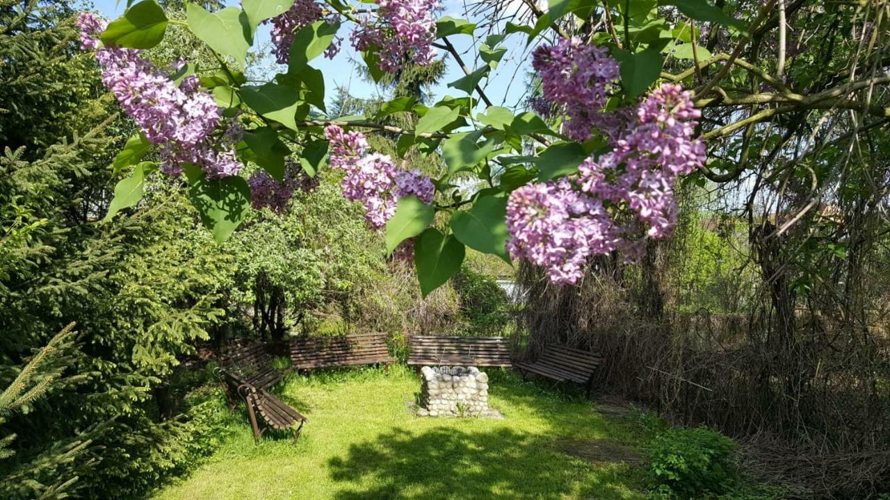 Willa Granit Krościenko Buitenkant foto